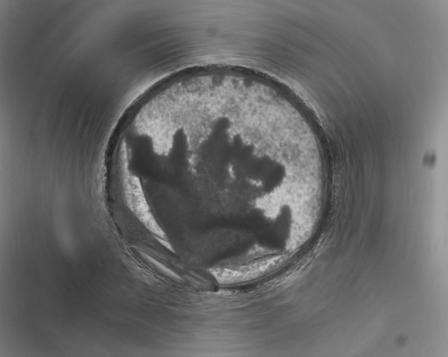 X0000116780879201001141509