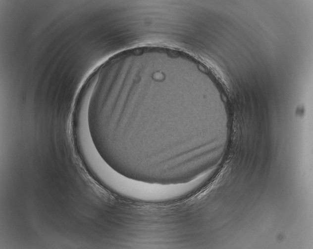 X0000116780880201001141509