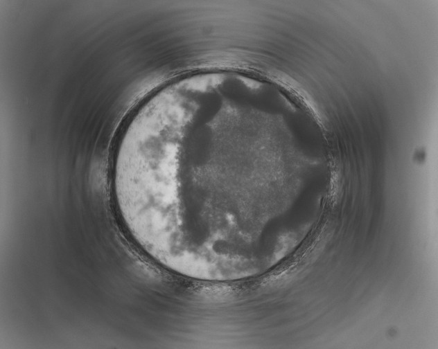 X0000116780882201001141509