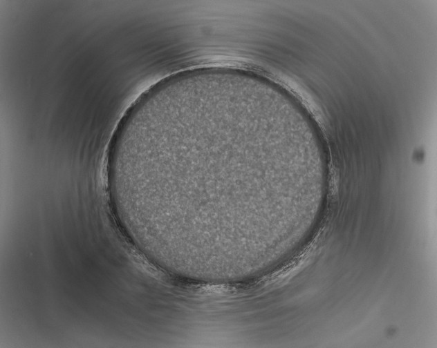 X0000116780883201001141509