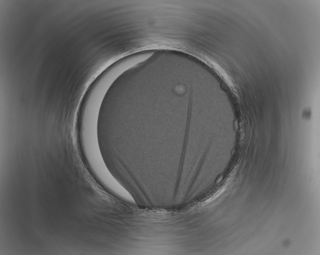 X0000116780885201001141509