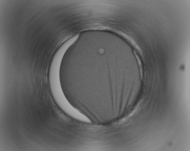 X0000116780889201001141509