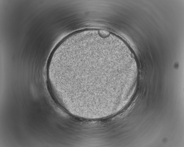 X0000116780891201001141509