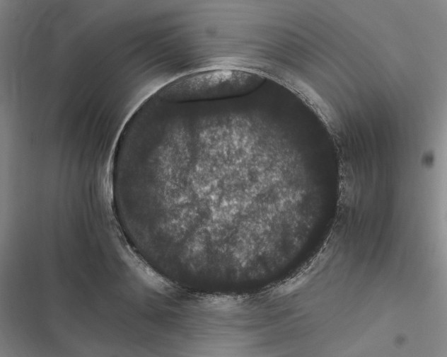 X0000116780892201001141509