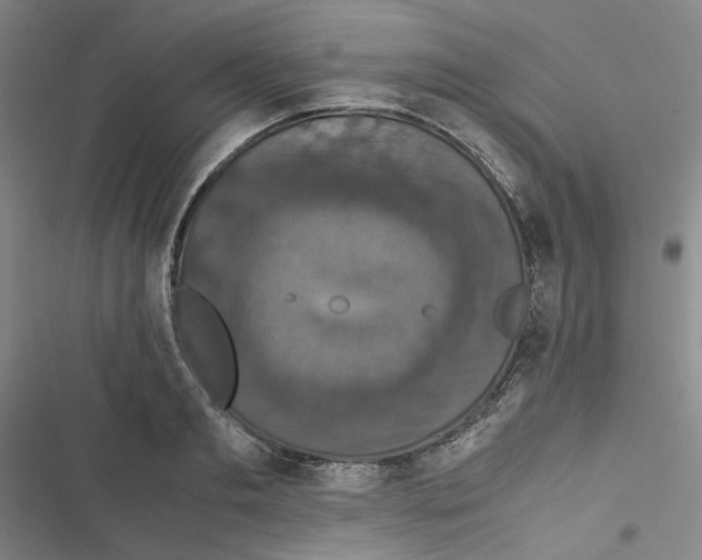 X0000116780893201001141509