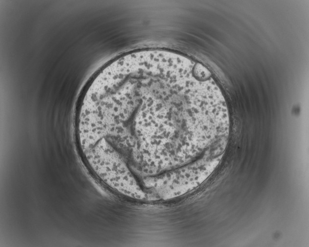 X0000116780894201001141509