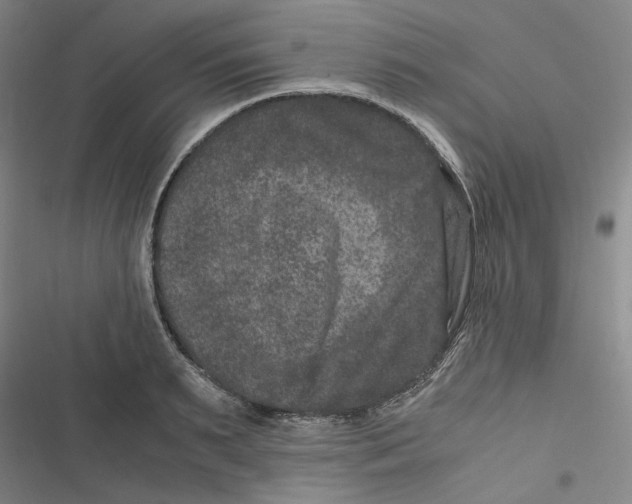 X0000116780895201001141509