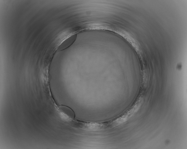 X0000116780897201001141509