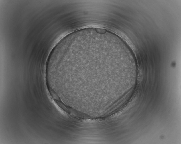 X0000116780898201001141509