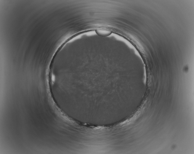 X0000116780899201001141509