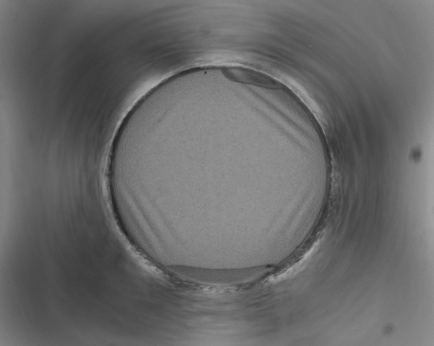 X0000116780901201001141509