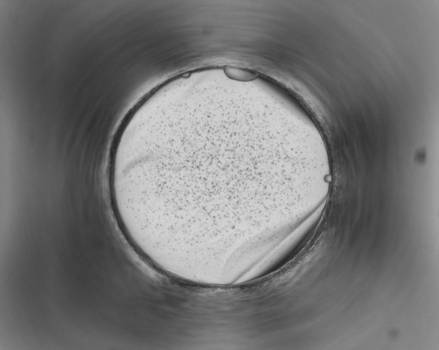 X0000116780902201001141509