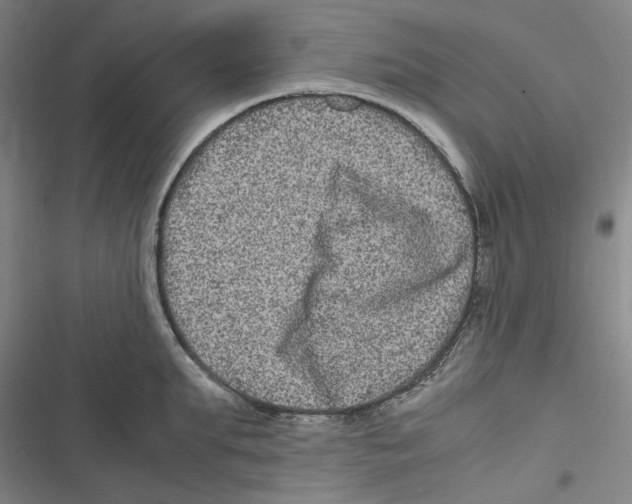 X0000116780903201001141509