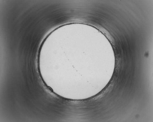 X0000116780904201001141509