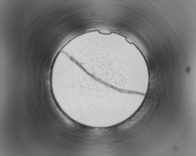 X0000116780906201001141509