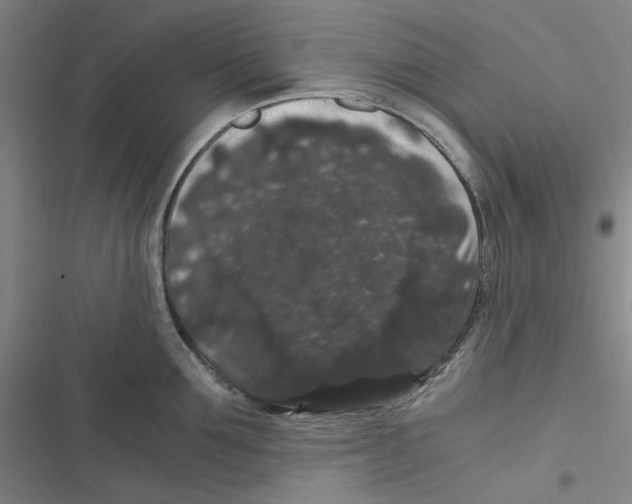 X0000116780907201001141509