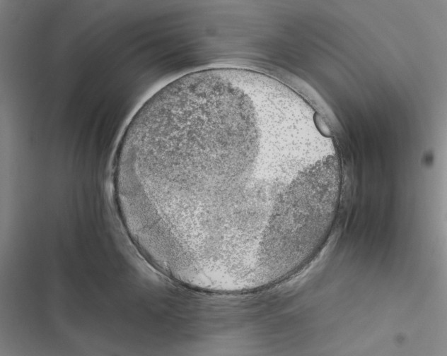 X0000116780908201001141509