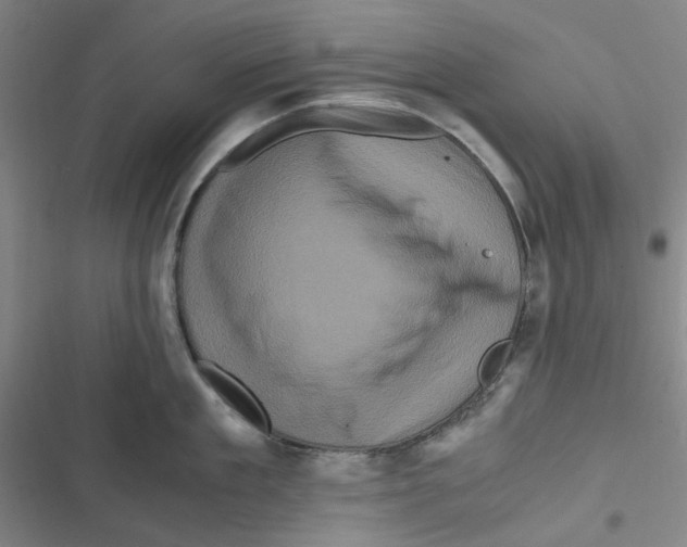 X0000116780909201001141509