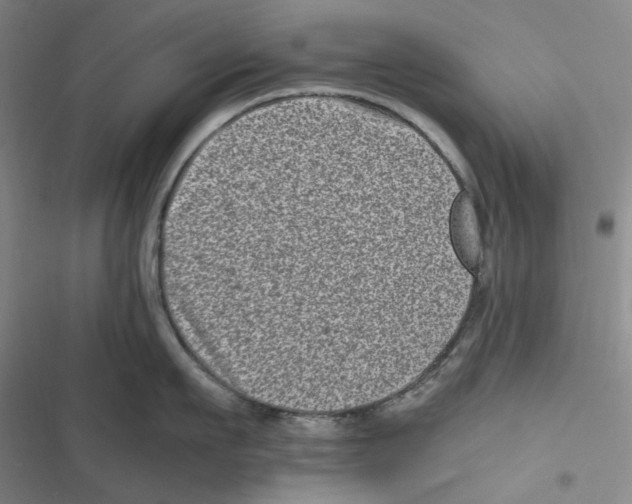 X0000116780911201001141509