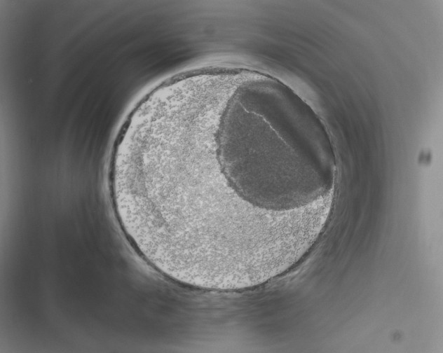 X0000116780912201001141509