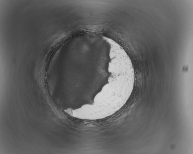 X0000116780913201001141508