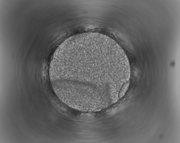 X0000116780914201001141508