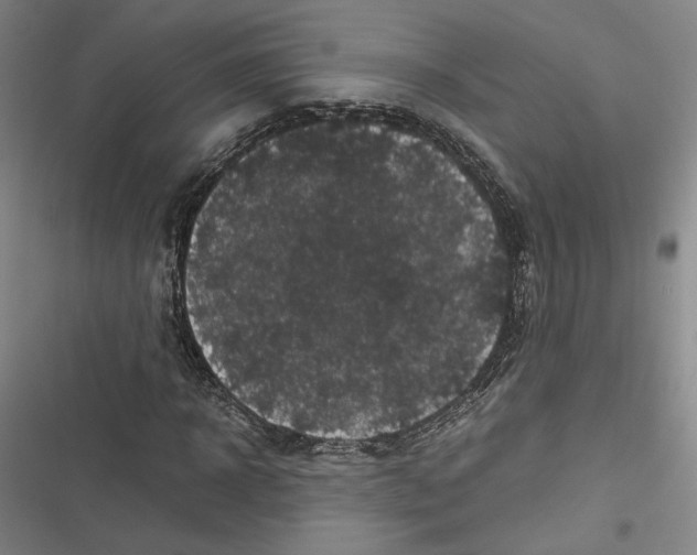 X0000116780918201001141508