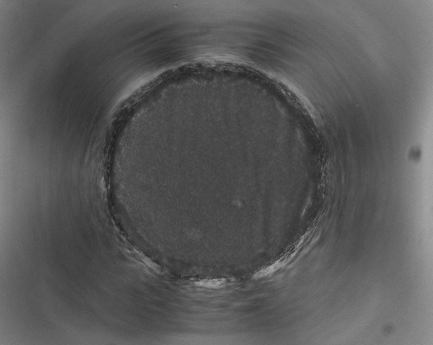 X0000116780919201001141508