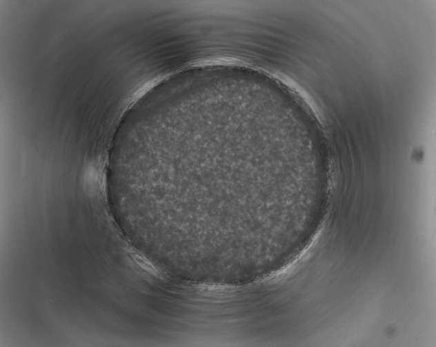 X0000116780921201001141508