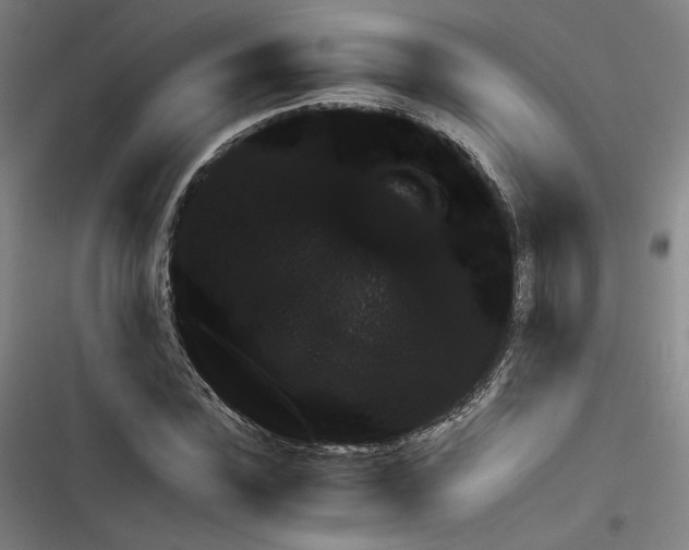 X0000116780923201001141508