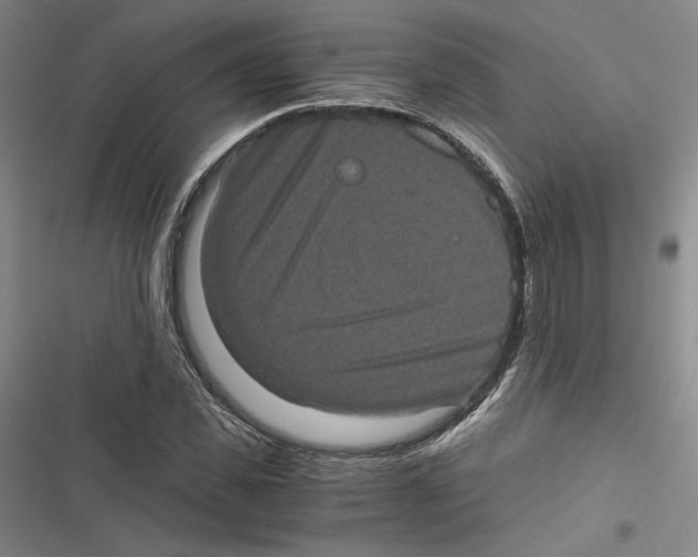 X0000116780925201001141508