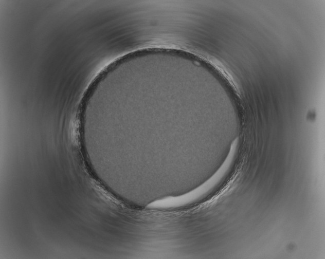 X0000116780926201001141508