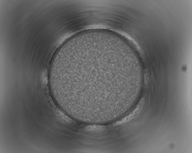 X0000116780929201001141508