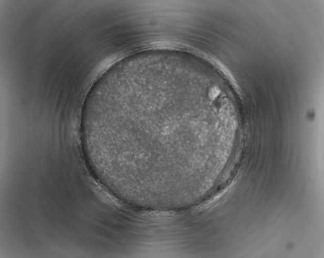 X0000116780930201001141508