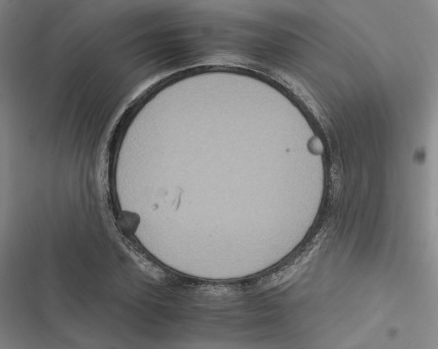 X0000116780931201001141508