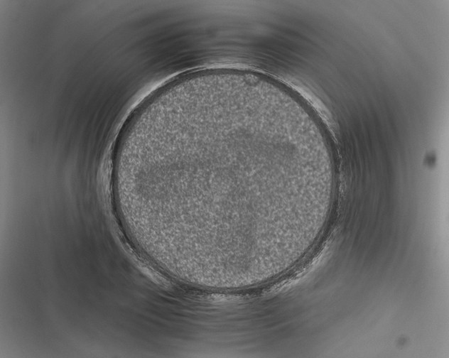 X0000116780933201001141508