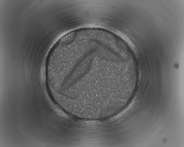 X0000116780934201001141508