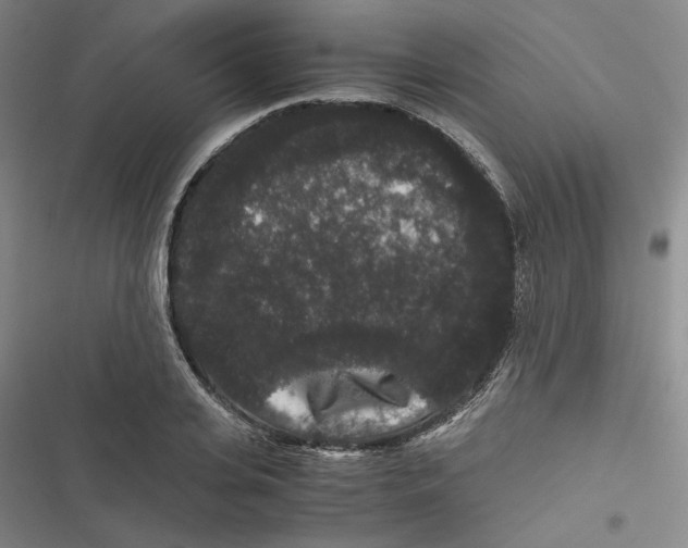 X0000116780935201001141508