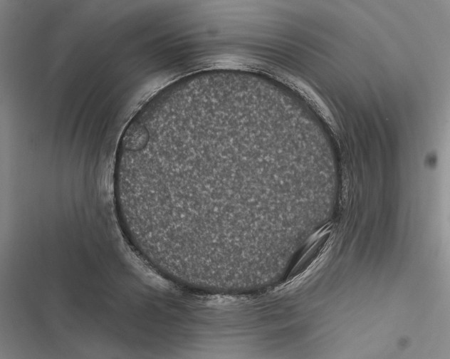 X0000116780938201001141508