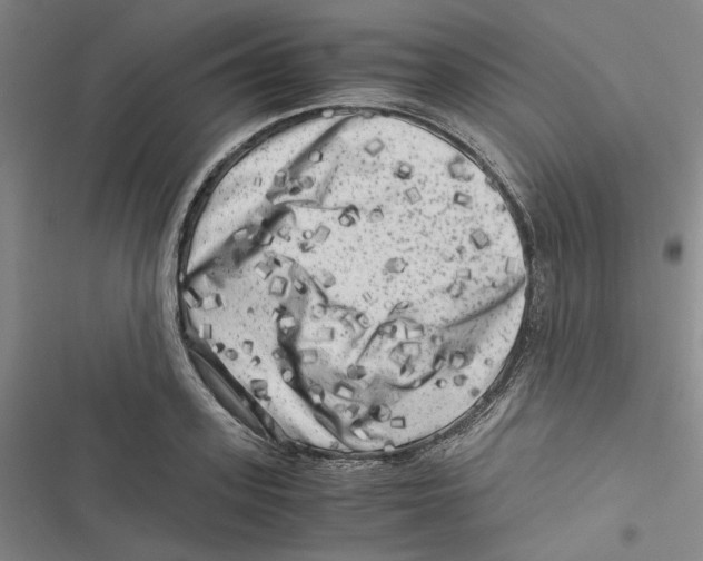 X0000116780939201001141509