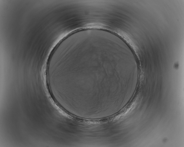 X0000116780941201001141509