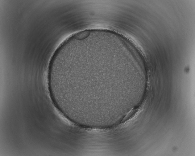 X0000116780942201001141509