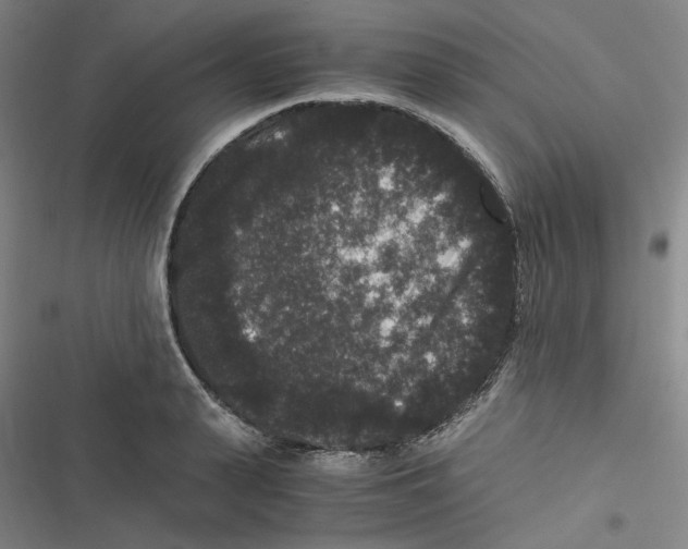 X0000116780943201001141509