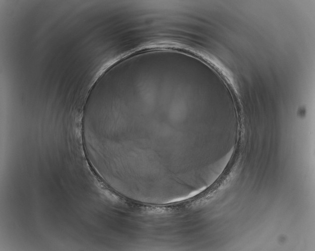 X0000116780945201001141509