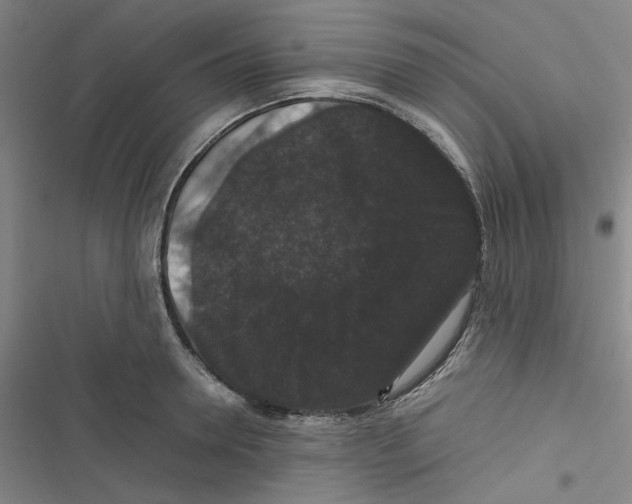 X0000116780946201001141509