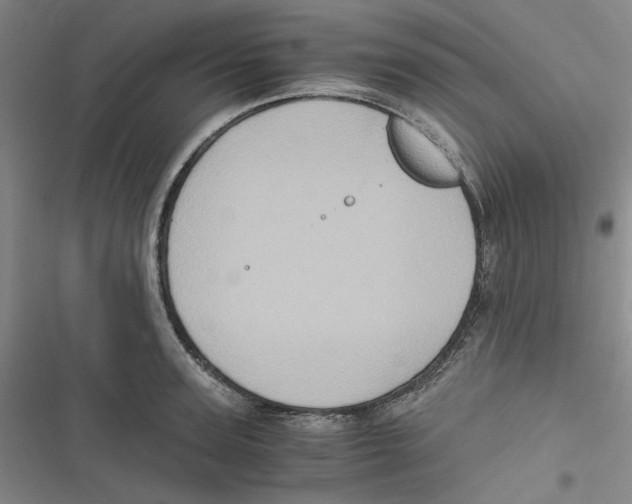 X0000116780947201001141509