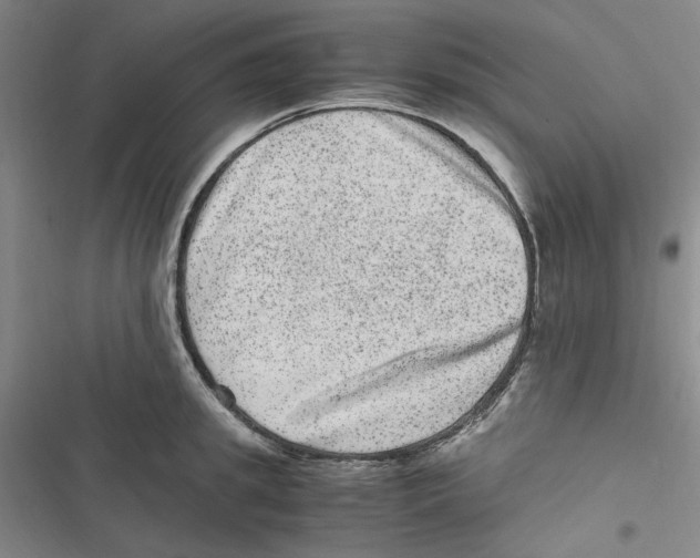 X0000116780949201001141509