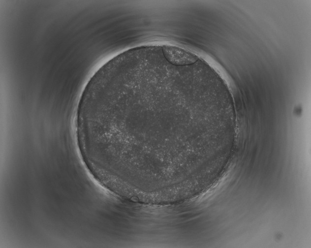 X0000116780951201001141509