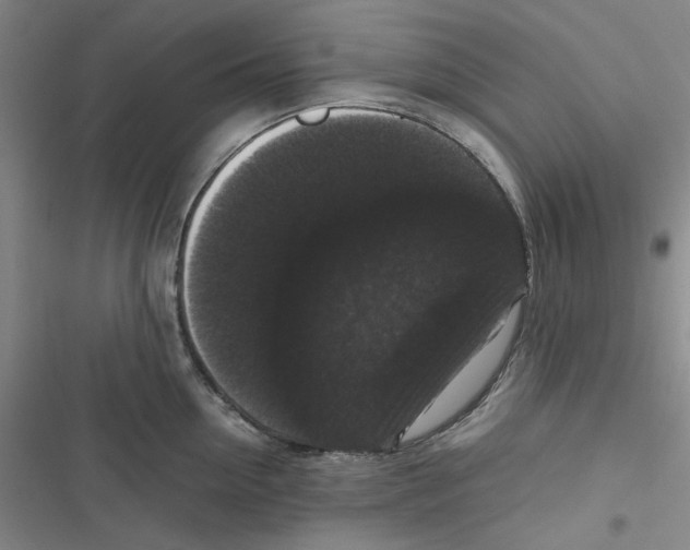 X0000116780954201001141509