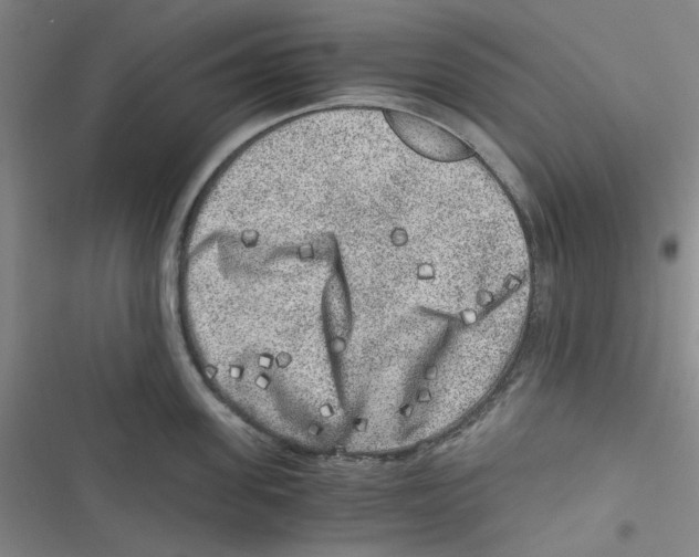 X0000116780955201001141509